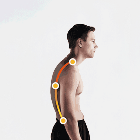 Corrector Postural y Alineación Lumbar Maximum Body - Clube Boss